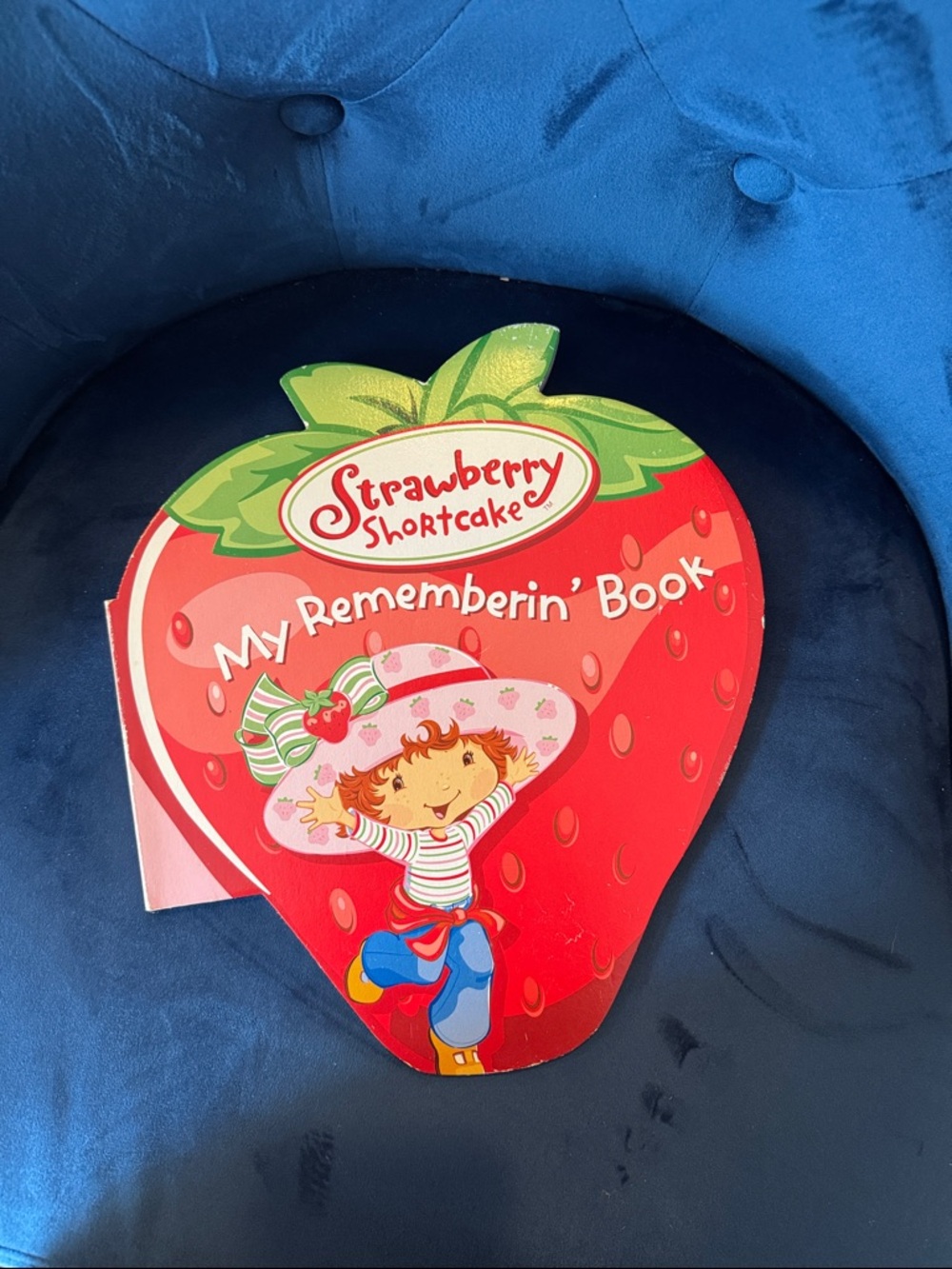 Vintage strawberry shortcake 2004 my rememberin’ book